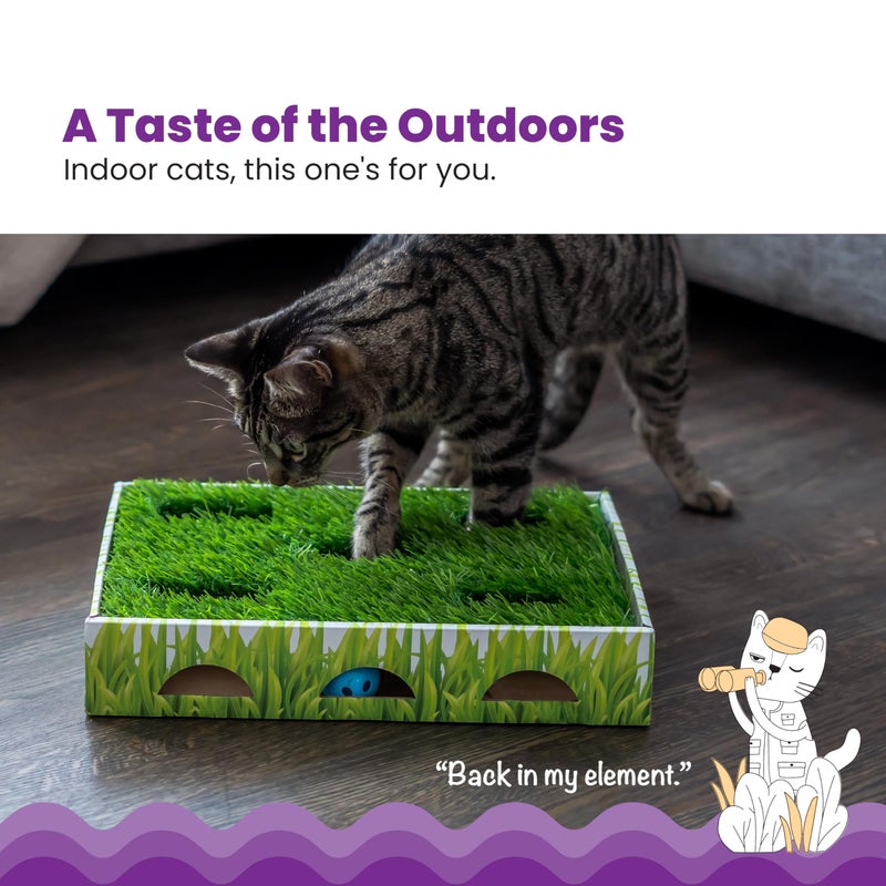Catstages Grass Patch Hunting Box - Interactive Indoor Cat Toy with Faux Grass & 3 Jingle Balls - Encourages Exercise, Mental Stimulation & Natural Hunting Instincts - Image 3